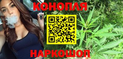 Альфа ПВП Владимир