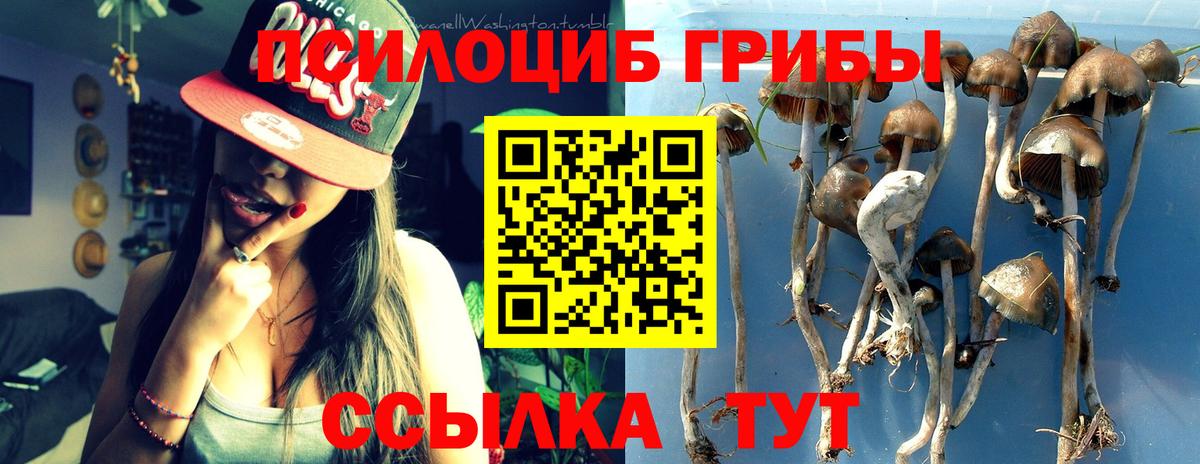 Псилоцибиновые грибы Magic Shrooms  Псилоцибиновые грибы Psilocybine cubensis  Вход с VPN  Южно-Сахалинск 